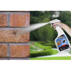 MITTEL SPRAY AEROSOL FLÜSSIGKEIT SPRÜHMITTEL PRÄPARAT GEGEN SPINNEN UND SPINNENNETZE NO PEST 500 ML